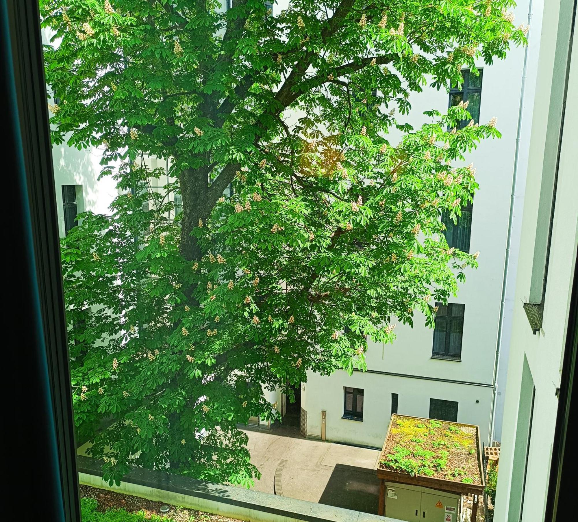 Mercure Wittenbergplatz 4* Berlijn